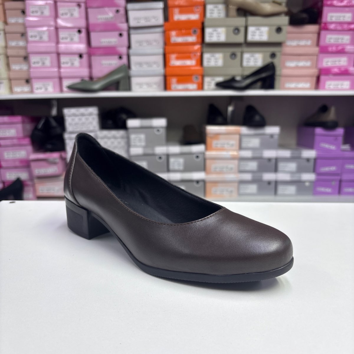 Pantofi Dama 220 S 10